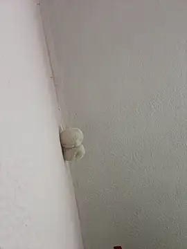 saranghae  online show from 03.02.26