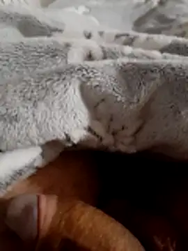 ratoncito 3 online show from 11.16.25