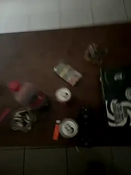 Snapshot of dikkefluit chatting on 11.13.25 dikkefluit online show from 11.13.25