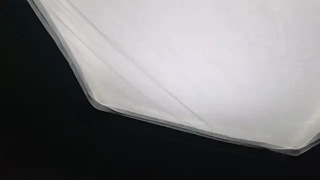 Snapshot of Sabina_Ros chatting on 02.02.26 Sabina Ros online show from 02.02.26