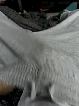 Snapshot of Frankieyyy1 chatting on 11.28.25 Frankieyyy1 online show from 11.28.25