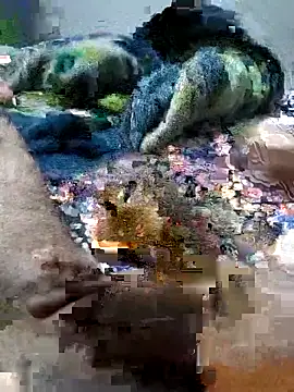 sitonmycock  online show from 10.06.25