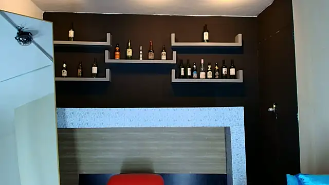 Snapshot of _DantFox_ chatting on 10.12.25 DantFox online show from 10.12.25