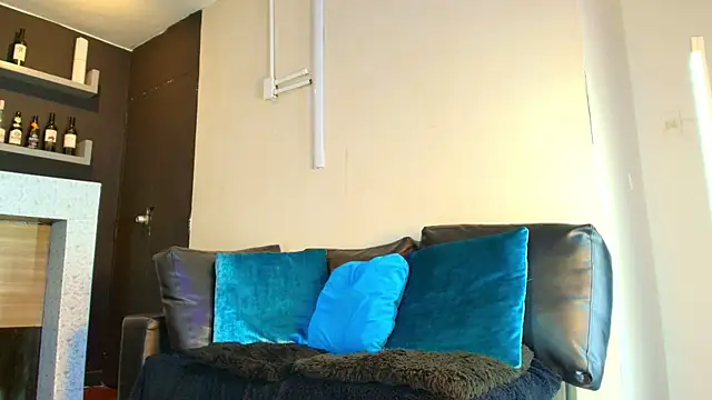 Snapshot of _DantFox_ chatting on 11.15.25 DantFox online show from 11.15.25