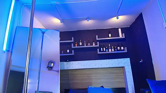 Snapshot of _DantFox_ chatting on 11.24.25 DantFox online show from 11.24.25