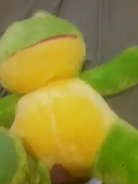 Conejoplayy online show from 10.05.25