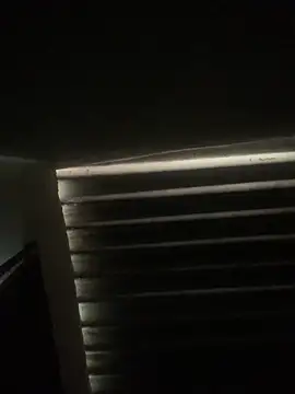 Snapshot of envolvemteX chatting on 03.01.26 envolvemteX online show from 03.01.26