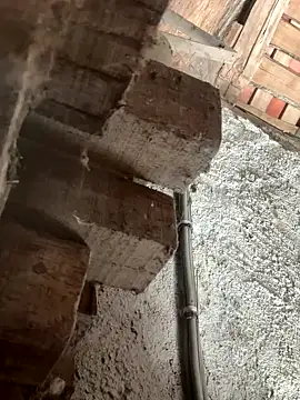 fcach2244 online show from 09.09.25