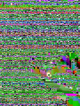 Snapshot of amnnnnnnnnnnn chatting on 12.05.25 amnnnnnnnnnnn online show from 12.05.25