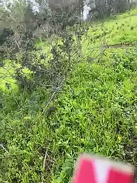 Yasar-Xxxl online show from 03.06.26