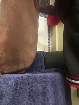 Yasar-Xxxl online show from 03.12.26