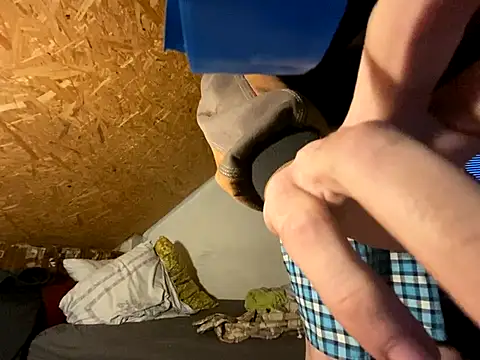 Salon1986 online show from 09.25.25