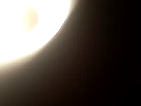 Snapshot of Salon1986 chatting on 10.31.25 Salon1986 online show from 10.31.25