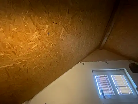 Snapshot of Salon1986 chatting on 11.07.25 Salon1986 online show from 11.07.25