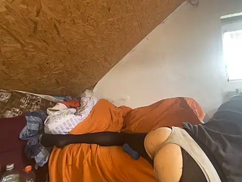 Salon1986 online show from 03.11.26