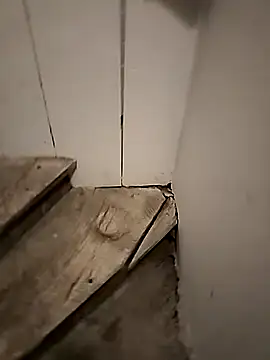 Floppy44 online show from 04.29.26