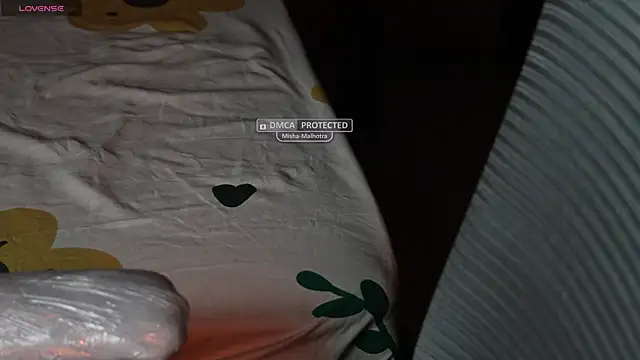 Snapshot of NidhiChandra chatting on 03.09.26 NidhiChandra online show from 03.09.26