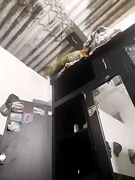 amelie sex online show from 03.05.26