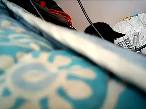 matrix70016 online show from 10.12.25