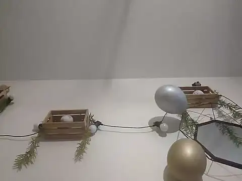 Snapshot of nousmeme0123 chatting on 02.20.26 nousmeme0123 online show from 02.20.26