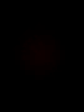 armandoluisorrrkw3323 online show from 04.11.26