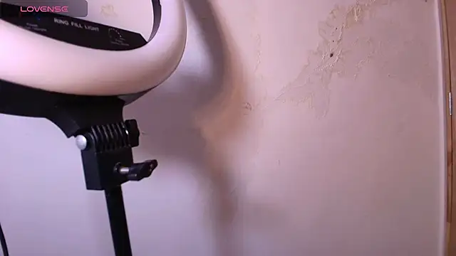 Terraelowen online show from 11.29.25