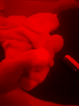 Snapshot of 2Tight2Handle chatting on 10.20.25 2Tight2Handle online show from 10.20.25