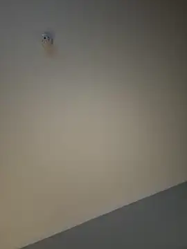 busty p online show from 09.11.25