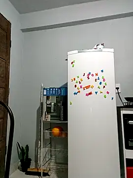 indiazinhabella27 online show from 11.11.25