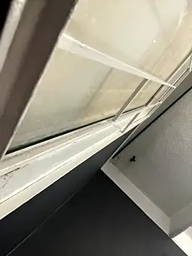 Emily Rivers  online show from 01.14.26