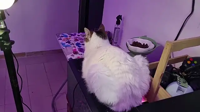 Snapshot of Lovers_cave chatting on 12.19.25 Lovers cave online show from 12.19.25