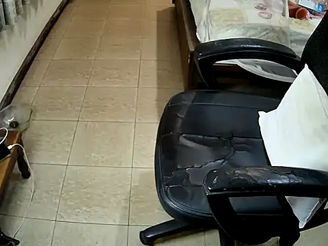 sissypamsissy online show from 02.08.26