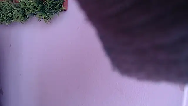 IVONNE COLLINS33 online show from 09.24.25