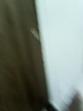 Snapshot of Maazikeen chatting on 11.17.25 Maazikeen online show from 11.17.25