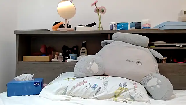 Snapshot of xxxmegamixxx chatting on 11.04.25 xxxmegamixxx online show from 11.04.25