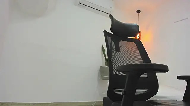 damian bull online show from 11.01.25