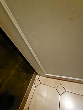 Stingles online show from 03.24.26