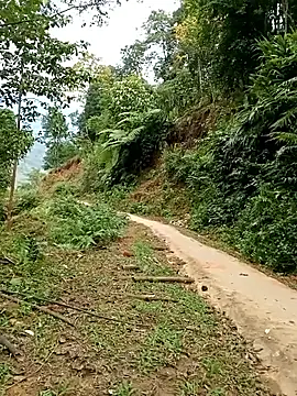 Snapshot of Dung-Thao19 chatting on 11.24.25 Dung-Thao19 online show from 11.24.25