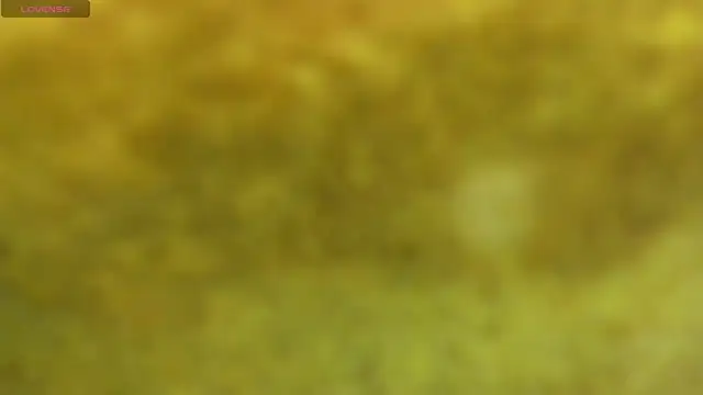 Snapshot of ValentinaKlean chatting on 12.22.25 ValentinaKlean online show from 12.22.25