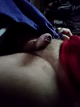 bad wolf28 online show from 03.16.26