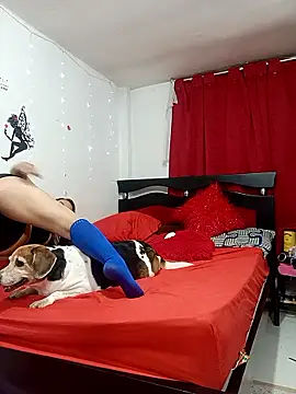 Lady 16 online show from 02.13.26