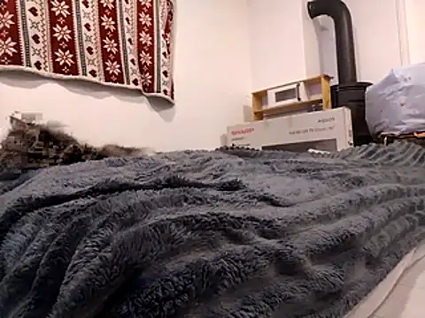 Snapshot of HoneySquirrel chatting on 10.10.25 HoneySquirrel online show from 10.10.25