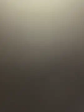 RebornWave11 online show from 04.02.26