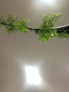 CharlotteBrownn  online show from 02.23.26