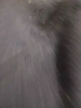 Funny Karina online show from 12.15.25