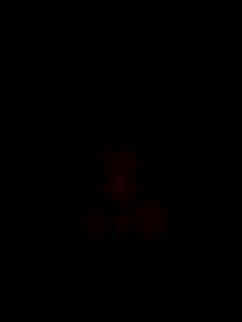 Snapshot of CoMay003 chatting on 12.15.25 CoMay003 online show from 12.15.25