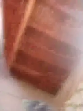 HOT-MUNDA online show from 02.09.26