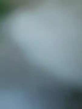 18cmyilmazta20 online show from 11.15.25