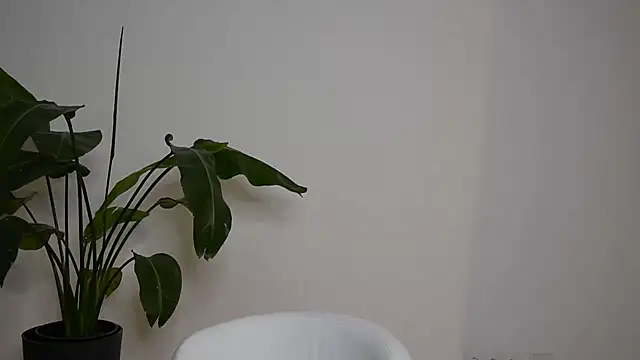 MayTease online show from 09.11.25