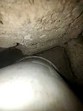 princexdcs online show from 02.09.26